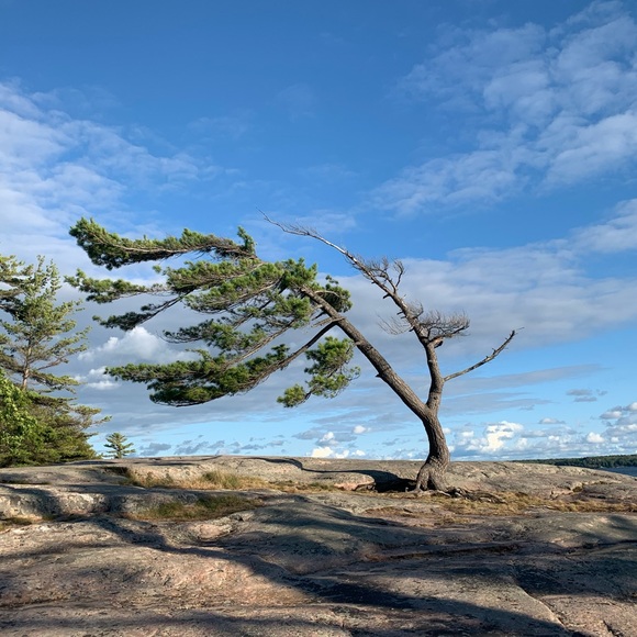 Meet your Posher, Allie - Picture 1 of 1